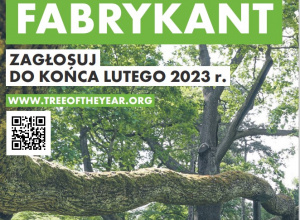 Plakat do głosowania na Europejskie Drzewo Roku